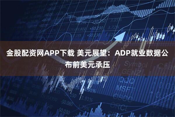 金股配资网APP下载 美元展望：ADP就业数据公布前美元承压