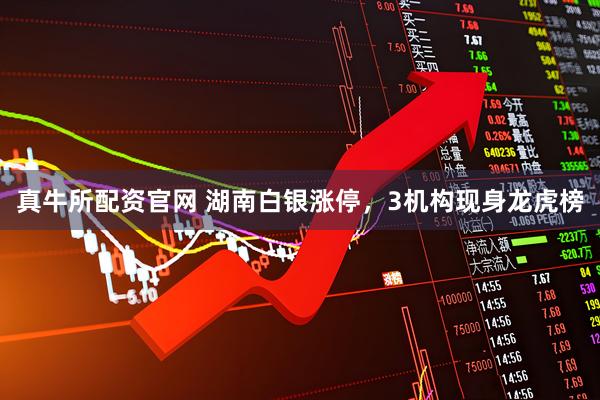 真牛所配资官网 湖南白银涨停，3机构现身龙虎榜