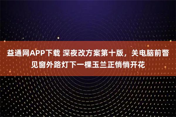 益通网APP下载 深夜改方案第十版，关电脑前瞥见窗外路灯下一棵玉兰正悄悄开花