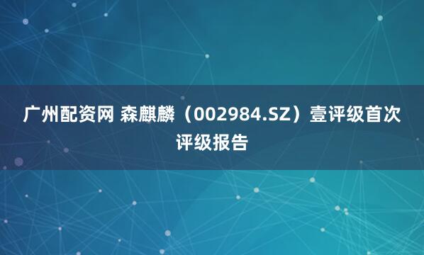 广州配资网 森麒麟（002984.SZ）壹评级首次评级报告